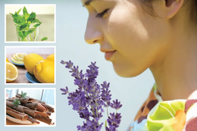 芬芳中的养生智慧 八种香味的保健奇效