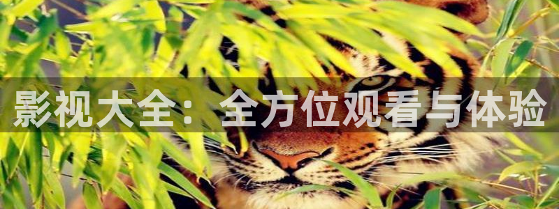 《四库影视》电视剧在线观看-好看影院：影视大全：全方位观看与体验