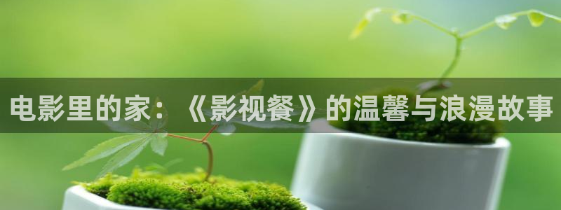 好好看影院：电影里的家：《影视餐》的温馨与浪漫故事