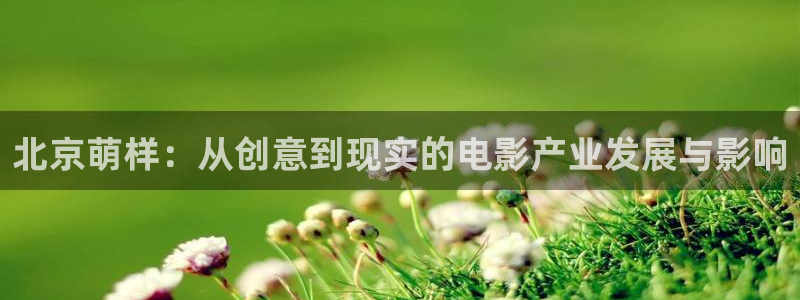 好看影院在线观看电影：北京萌样：从创意到现实的电影产业发展与影响
