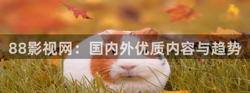 好看影院在线观看电影：88影视网：国内外优质内容与趋势