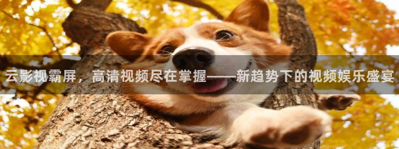 好看影院：云影视霸屏，高清视频尽在掌握——新趋势下的视频娱乐盛宴