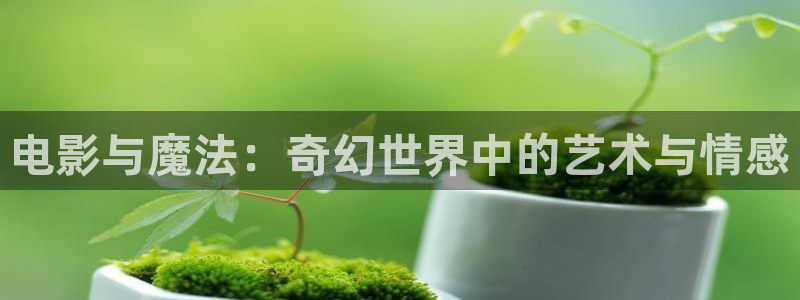 好好看影院：电影与魔法：奇幻世界中的艺术与情感