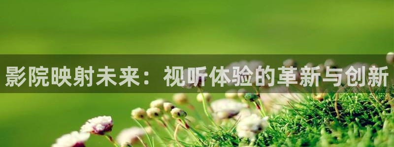 四虎好看影院：影院映射未来：视听体验的革新与创新